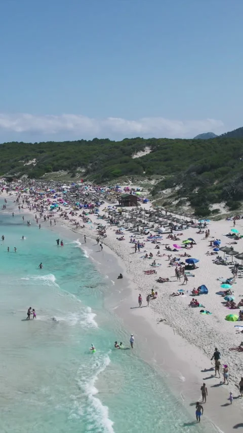 Aerial View Crowded Cala Agulla Beach Mallorca Spain Sunny Day Video stock 333646047