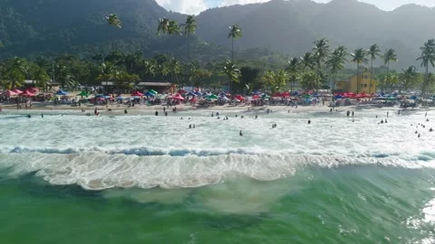 Aerial view of crowded Maracas Beach waves rolling toward palm lined shore in Stock Footage 340879977