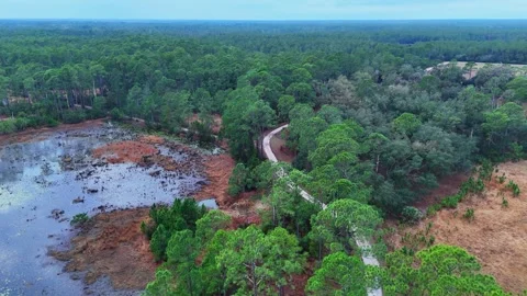 Aerial view of Crows Bluff path in Lake County, United States. Stock Footage 340631963