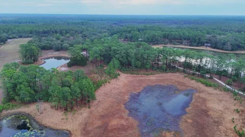 Aerial view of Crows Bluff wetlands and pine forest, United States. Stock Footage 340631996