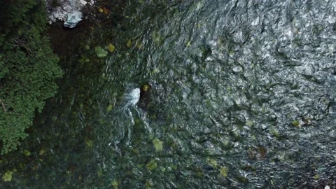 Aerial view of a crystal clear mountain river, top view. Stock-Footage 201652729