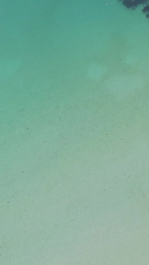 Aerial view of the crystal-clear turquoise waters and sandy seabed along the Stock Footage 346663781