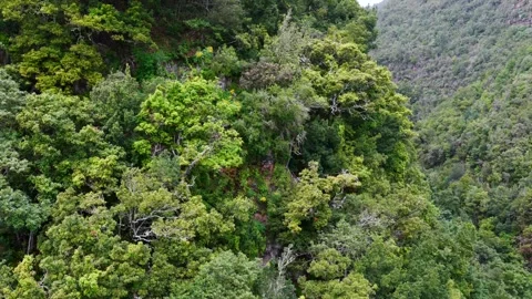 Aerial View of Cubo de la Galga La Palma Canary Islands Spain 動画素材 335805033