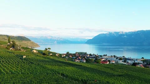 Aerial view of Cully vineyards and Lake Geneva, Switzerland. Stock-Footage 346616357