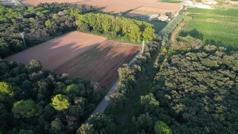 Aerial view of cultivated fields and forests at sunset Stock Footage 320945460