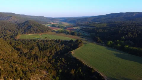 Aerial view of cultivated fields surrounded by pine forest Stock-Footage 258301733