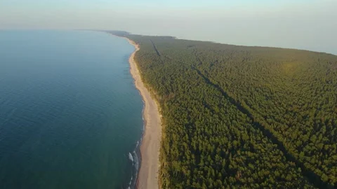 Aerial view of Curonian spit with sandy beach, sea and forest on Baltic sea Stock Footage 164302425