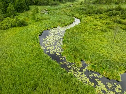 Aerial view of curving river through vibrant green summer forest. Stock Photos