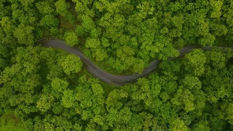 Aerial view of a curving road in the middle of tropical dense forest and green v Stock Photos