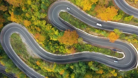 Aerial view of curving road through colorful autumn forest Stock Footage 142266811