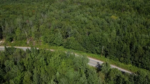 Aerial View of a Curving Road Through Dense Green Canopy Vídeos de archivo 338325490