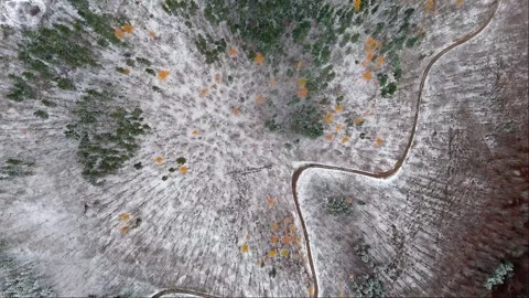 Aerial view of a curvy road through snowy mountain forests and fields, unde.. Video stock 258334637