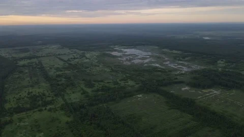 Aerial view cutting down of a young forest Stock Footage 200006594