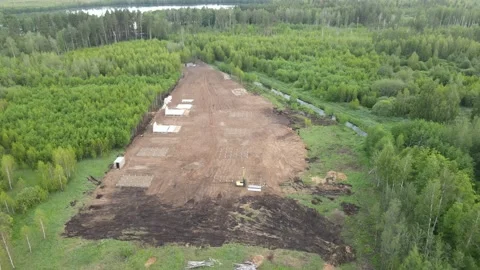 Aerial view cutting down of a young forest Stock Footage 200007206