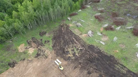 Aerial view cutting down of a young forest Stock Footage 200007322