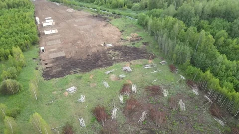 Aerial view cutting down of a young forest Stock Footage 200007338