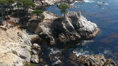 Aerial view of a cypress tree on a hillside Stock Footage 85292040