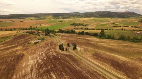 Aerial view of cypress trees in San Quirico, Italy. Stock Footage 324066208