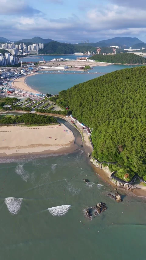 Aerial view of dadaepo beach in busan south korea Stock Footage 344025742