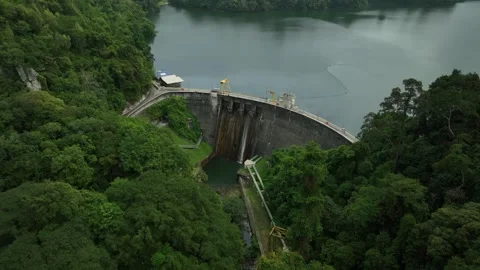 Aerial View of Dam Surrounded by Lush Green Forest Landscape Stock Footage 311575391