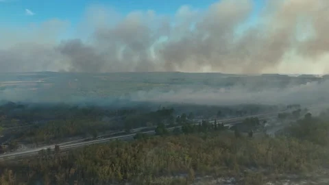 Aerial view of dangerous fire in the forest close to highway and village. Stock Footage 294073687