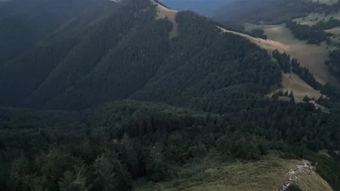 Aerial view of Dark forest in alpine mountains nature Stock Footage 292998024