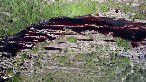 Aerial view of dark red river flowing through a lush green valley Vídeos de archivo 332725308