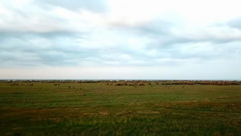 Aerial view of dawn in the steppe Stock Footage 120573020