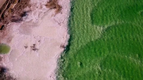 Aerial view on the Dead Sea beach, Israel Stock Footage 224292033