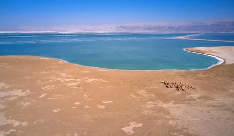 Aerial view on the Dead Sea beach and waters Stock Photos