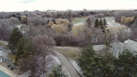 Aerial view of dead trees in winter, neighborhood of brampton canada Stock Footage 240159634