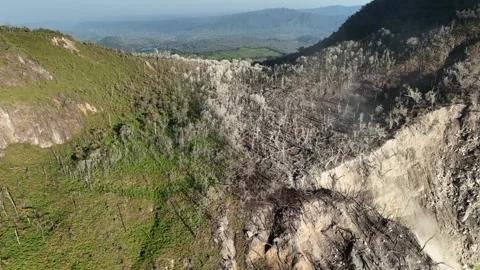 Aerial View of Dead White Tree in Volcanic Crater Landscape Video stock 314096525