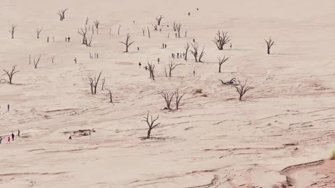 Aerial view of Deadvlei clay pan and dunes in Sossusvlei, Namibia Stock Footage 341428079