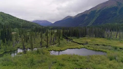 Aerial view of Dease River along the Stewart-Cassiar in British Columbia. Video stock 153282802