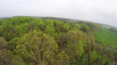 Aerial view of Deciduous forest and farmland, E USA Stock Footage