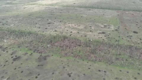 Aerial View of Decimated Treeline and Cratered Fields Stockbeeldmateriaal 332354870
