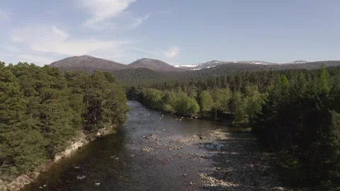 Aerial view of Dee River and dense forest, flying over pine trees woodland wild 스톡 동영상 251047328
