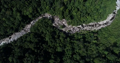 Aerial view deep forest with ricer of waterfall nature landscape Stock Footage 133352571