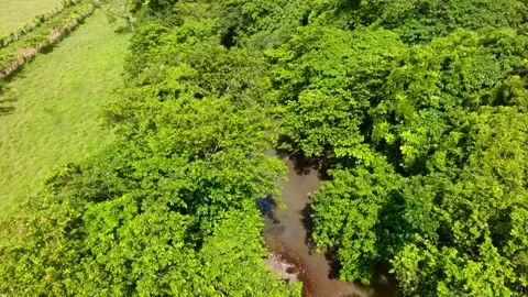 Aerial view of a deep, green valley overlooking a river in summer. Video stock 342535674