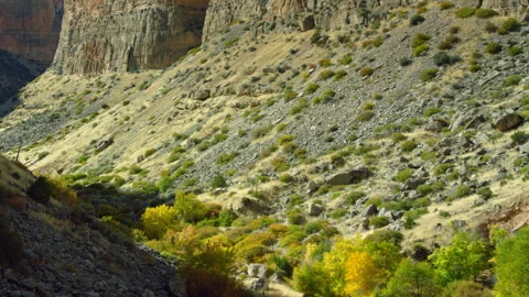 Aerial view deep inside Bighorn Canyon in northern Wyoming Vidéo 266024635