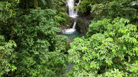Aerial view deep in the jungle where imposing waterfalls offer an impressive Stock Footage 343891688