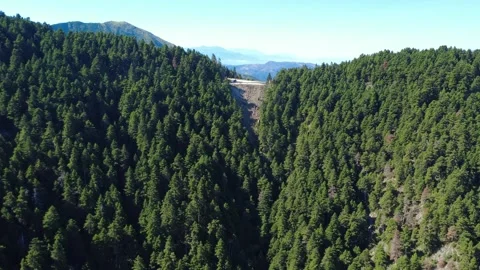 Aerial view of deep mountain ravine with evergreen forests and ridges Stock Footage 343947550