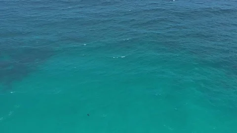 Aerial view of deep ocean with horizon border Stock Footage 211784633