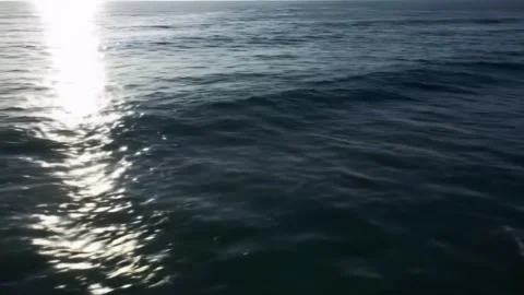 Aerial View of Deep Ocean Waves with Shimmering Sunlight in 4K Video stock 311215132