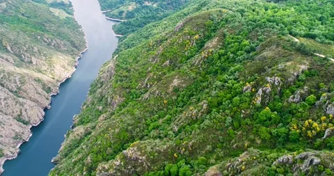 Aerial view of deep river canyon with green forest The Concept of Nature Stock Footage 323112934