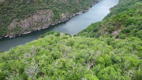 Aerial view of deep river canyon with green forest The Concept of Wilderness Stock Footage 327720701