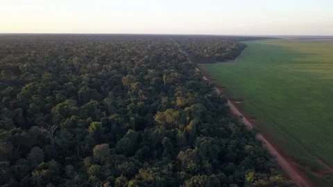 Aerial view of deforestation in the amazon rainforest, Brazil. Xavante land. 4K Vidéo 153935997