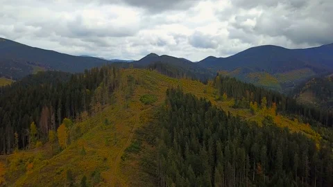 Aerial view of deforestation in Carpathian mountains Video stock 82962345