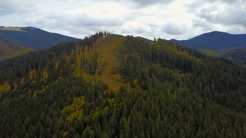 Aerial view of deforestation in Carpathian mountains Vidéo 82962425