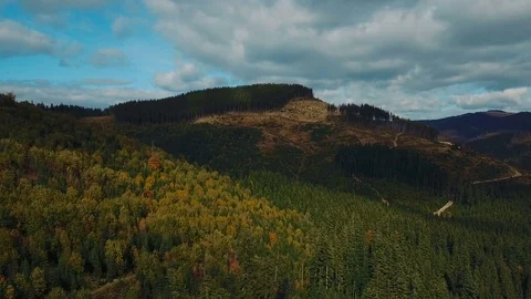 Aerial view of deforestation in Carpathian mountains Stock Footage 83123092